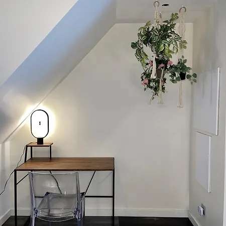 Boheme & Chic A 20' De Paris Apartment *